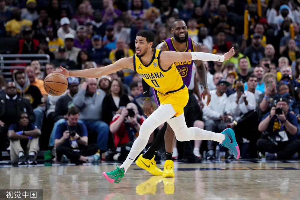 马的案例 马的案例